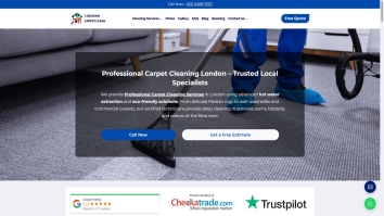 Screenshot of 4 Seasons Carpet Clean website