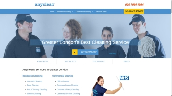 Screenshot of anyclean website