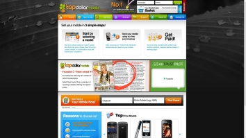 Screenshot of Topdollarmobile website
